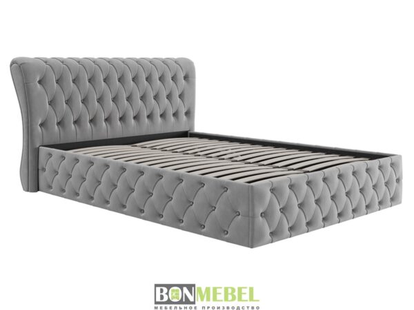 3319 kamelia 5 0 1 1600x1200fit