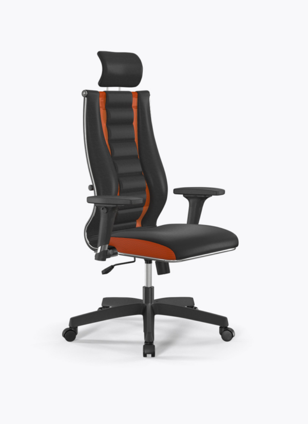 Кресло ergolife sit 10 b2 160d mesh(x2)+ecoleather(extra)(tg1.0pl/m09.b02.g15.w01)
