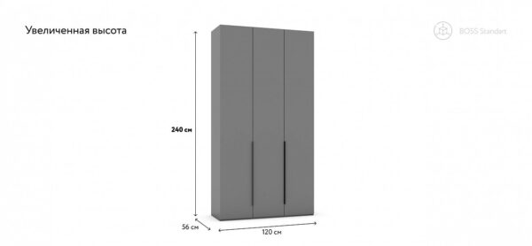 boss standart(Босс Стандарт) 120 шкаф 3Д