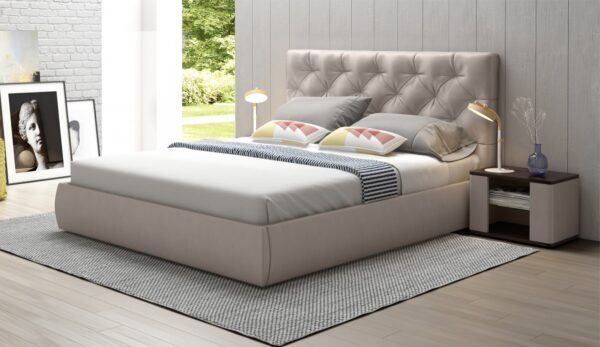 package650 color21687 2