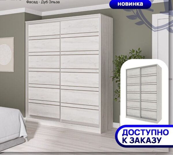 Шкаф купе ПШ 2.9 вставки ЛДСП